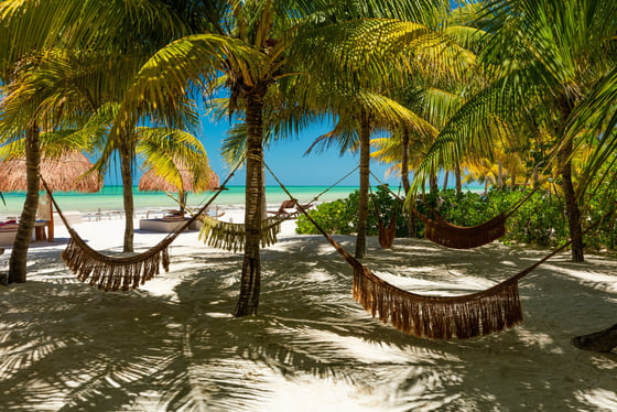 Excursion en bateau à Holbox avec votre guide francophone