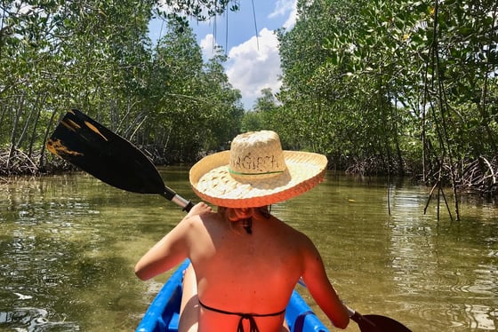 Kayak à Holbox en français dans la mangrove