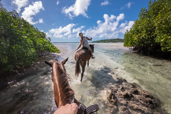 Balade à cheval sur la plage d'Holbox