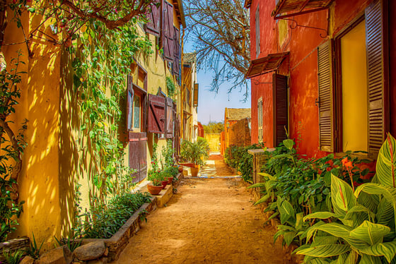 Visite de l'Île de Gorée et du Lac Rose sénégal