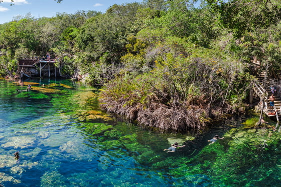 Baptême de plongée en cenote à Playa del Carmen avec instructeur francophone
