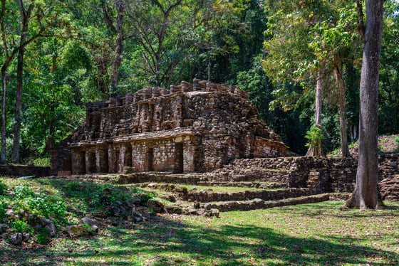 Visite de Yaxchilan et de sa jungle luxuriante avec un guide local natif de la région 🐒
