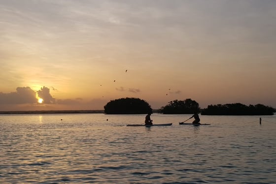 Excursion Bacalar lagune en catamaran au lever du soleil