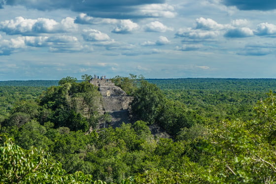 Visite de Calakmul au Mexique
