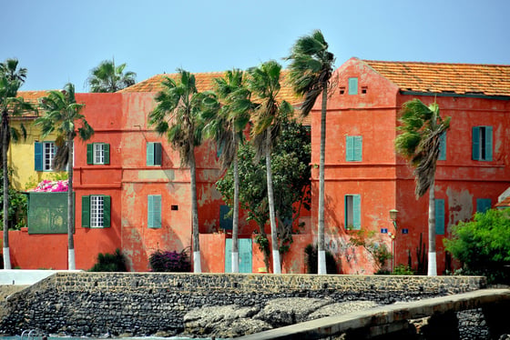 Visite guidée de l'île de Gorée : histoire, mémoire et patrimoine au Sénégal