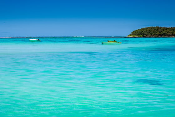 Dégustation de thé à Bois Chéri, snorkeling à la plage de Bluebay & marché Mahébourg