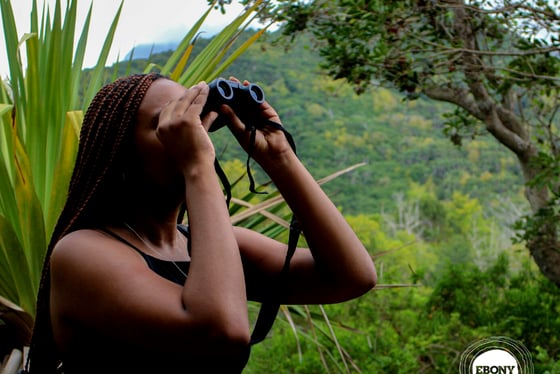 Visite de la réserve d'Ebony Forest à pied & repas local