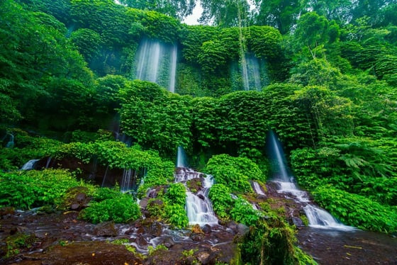 Cascade Lombok : jungle, baignade, singes sauvages et guide francophone